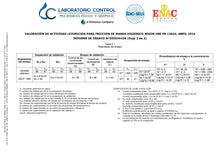 Cargar imagen en el visor de la galería, Desinfectante de Superficies con Pistola Pulverizadora 300cc - Valpharma Germibac
